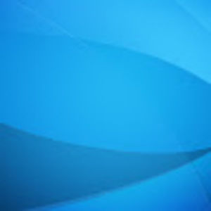 Meet your Posher, Leo